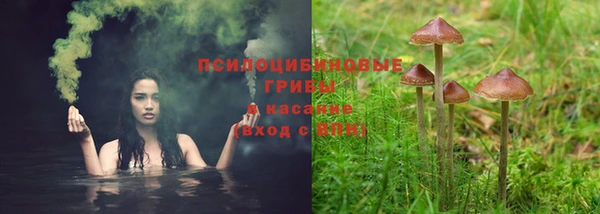 Альфа ПВП Аркадак